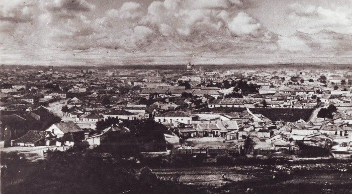 Общий вид на нижний город. Фотография начала XX века. Источник фото: oldchisinau.com.