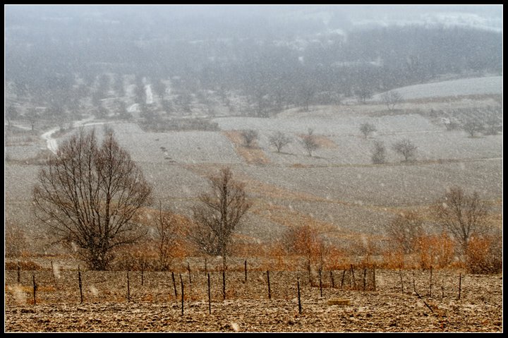 Moldova_in_winter_Baranchan_04