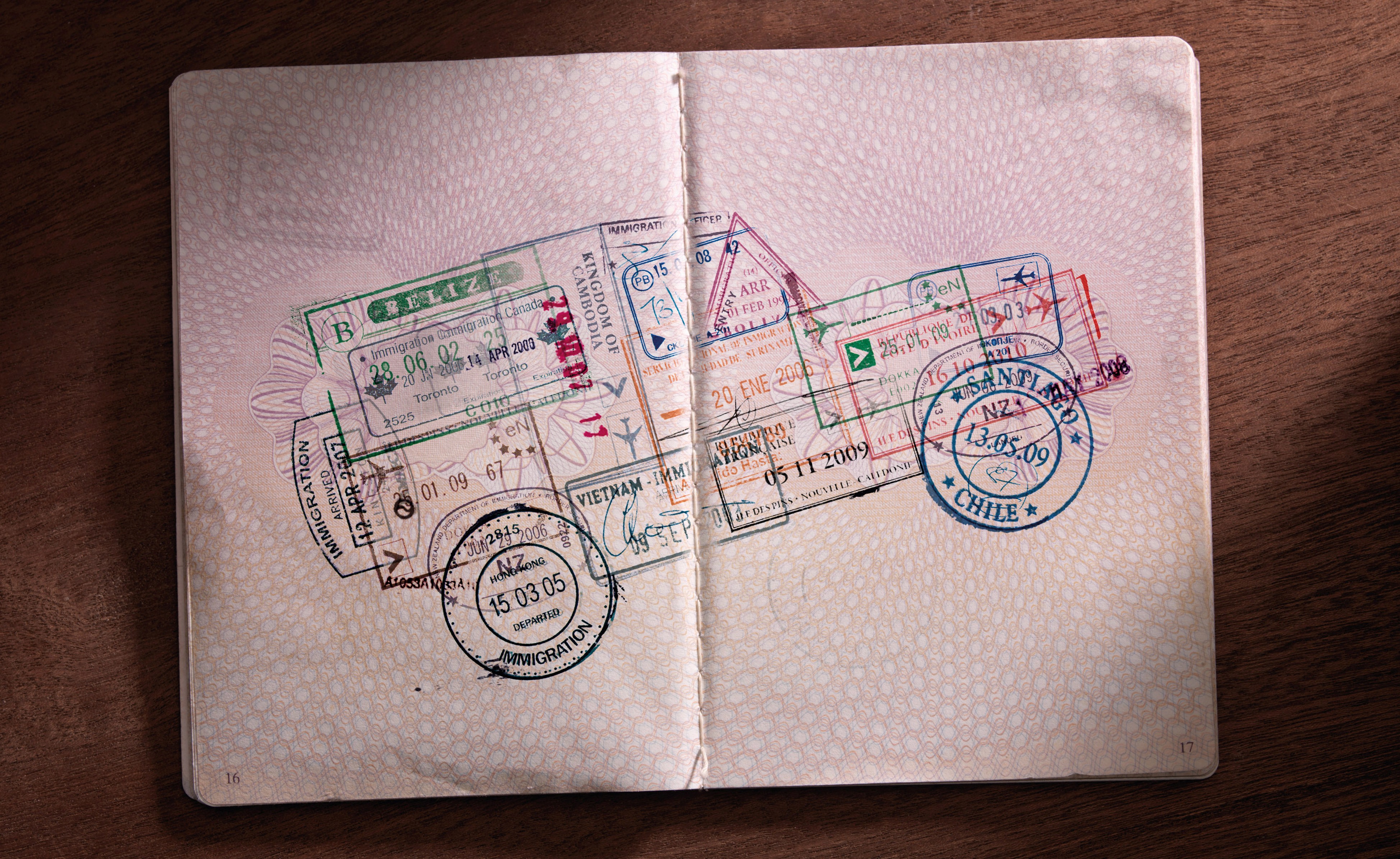 Нарисованный паспорт