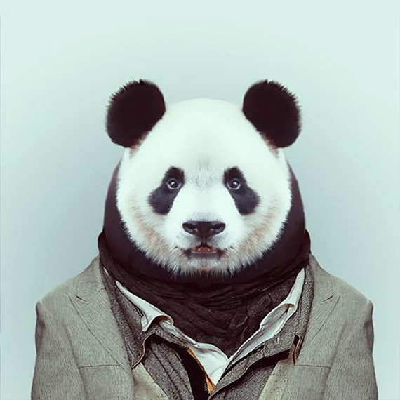 Fashion-Zoo-Animals10