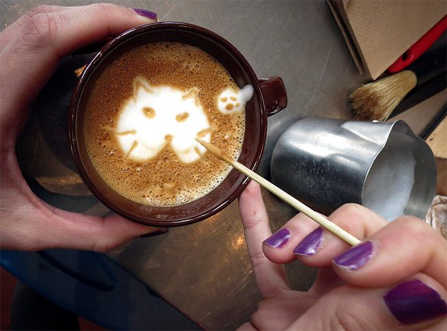 cats-cafe-new-york-370