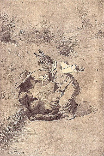rabbits_07