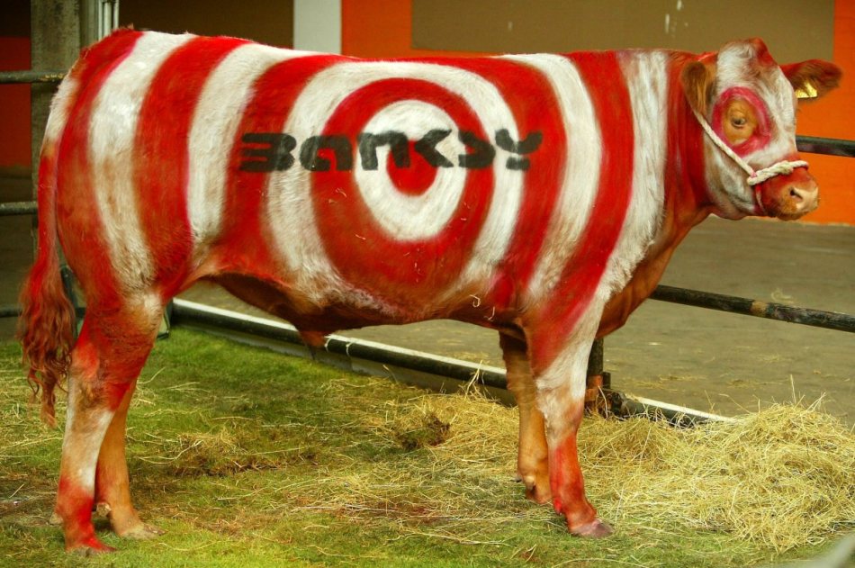 sometimes-banksy-can-get-a-little-out-there-like-the-time-he-painted-and-tagged-his-name-on-this-cow