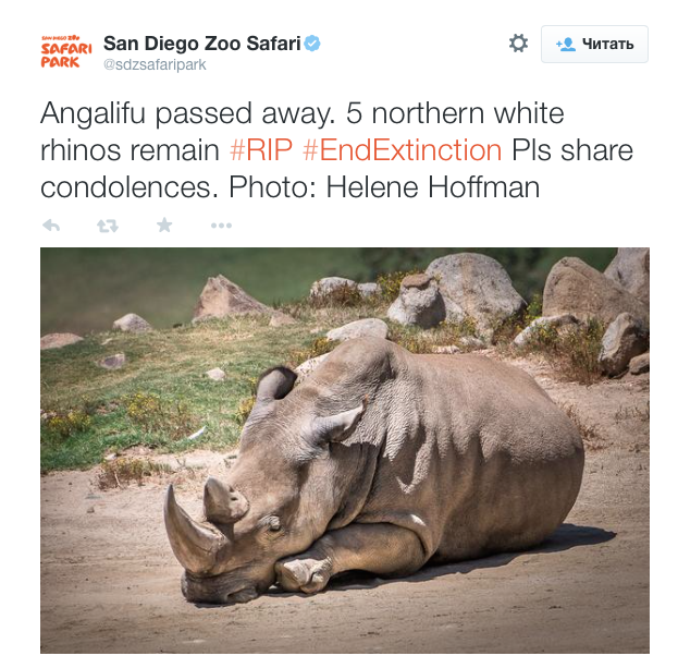 Screen Shot 2014-12-15 at 4.23.26 PM