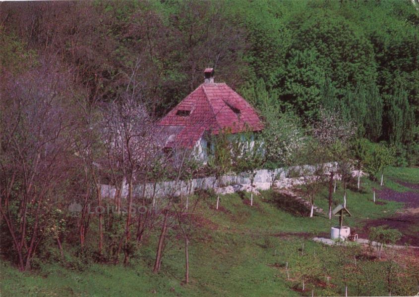 В кодрах. Молдавия. (1978 год)