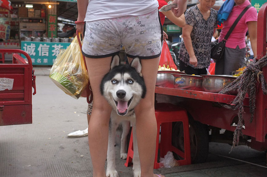 self-taught-perfectly-timed-street-photography-china-tao-liu-32