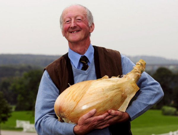 Английский фермер вырастил самый большой лук в мире, 2012 г.
