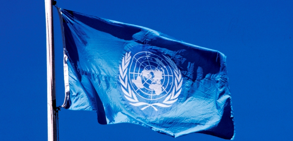 День открытых дверей в ООН