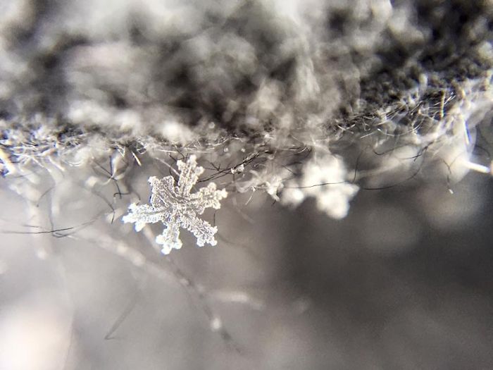 magic-of-snow-i-try-to-capture-a-perfect-snowflake-2__700