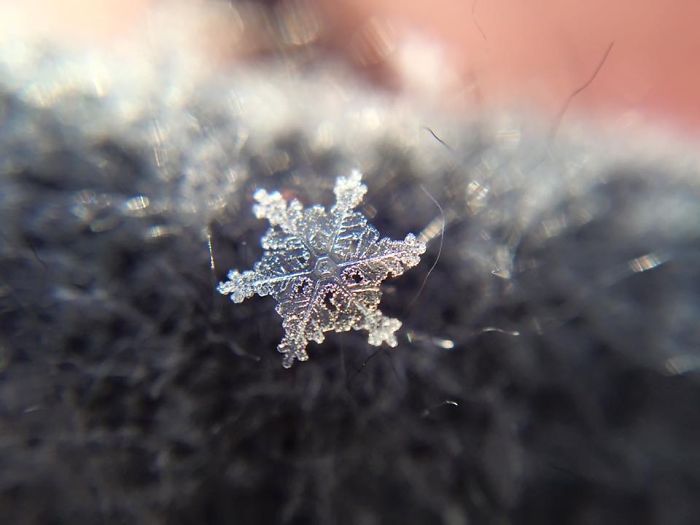 magic-of-snow-i-try-to-capture-a-perfect-snowflake-5__700