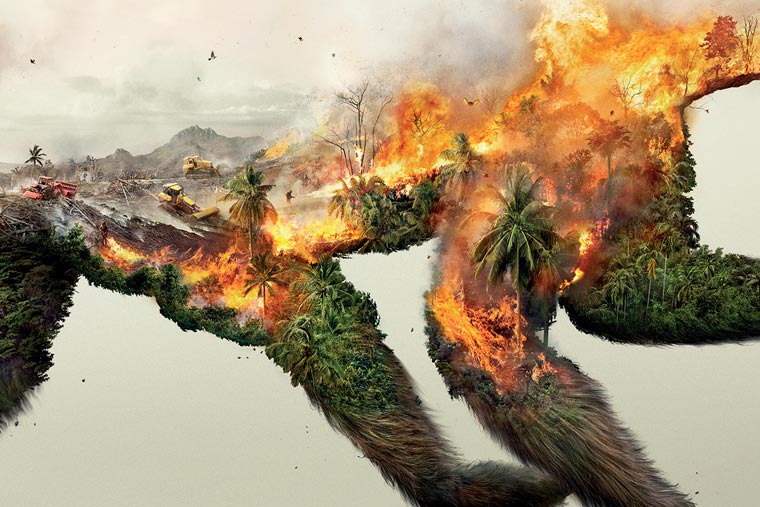 Destroying-nature-is-destroying-life-3
