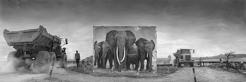 devastated-animal-habitats-inherit-the-dust-east-africa-nick-brandt-13