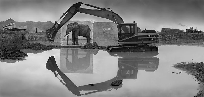 devastated-animal-habitats-inherit-the-dust-east-africa-nick-brandt-18