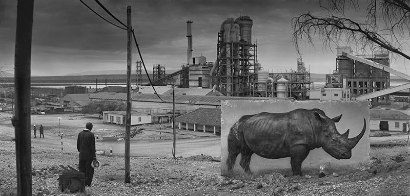 devastated-animal-habitats-inherit-the-dust-east-africa-nick-brandt-20