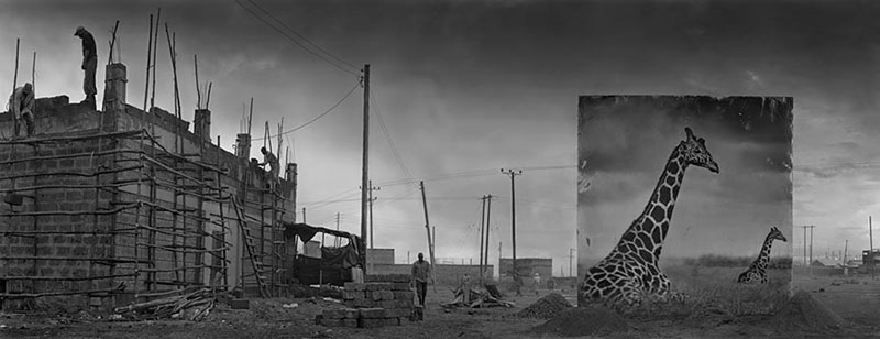 devastated-animal-habitats-inherit-the-dust-east-africa-nick-brandt-26