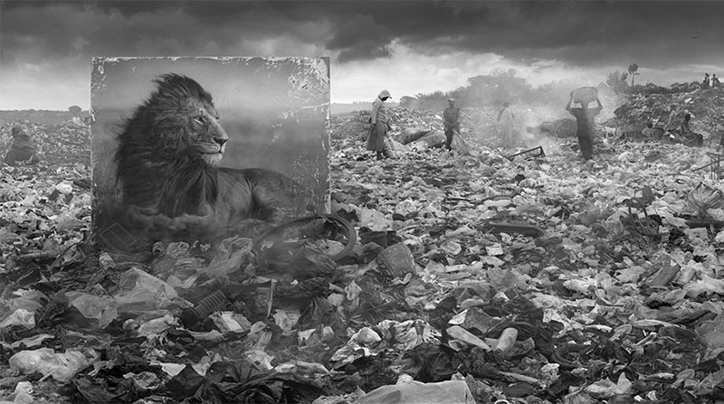 devastated-animal-habitats-inherit-the-dust-east-africa-nick-brandt-28