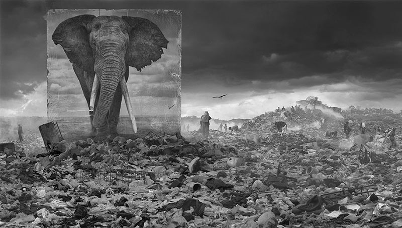 devastated-animal-habitats-inherit-the-dust-east-africa-nick-brandt-29