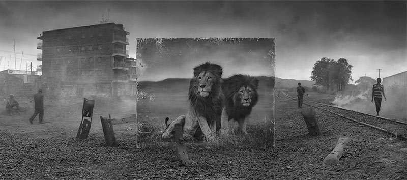 devastated-animal-habitats-inherit-the-dust-east-africa-nick-brandt-34