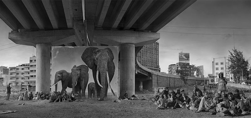 devastated-animal-habitats-inherit-the-dust-east-africa-nick-brandt-35