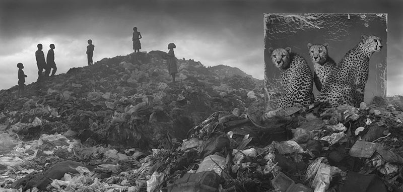 devastated-animal-habitats-inherit-the-dust-east-africa-nick-brandt-6