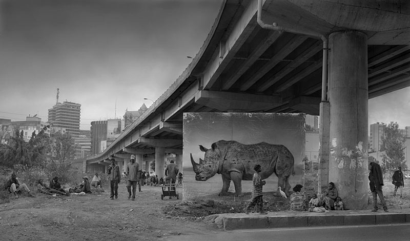 devastated-animal-habitats-inherit-the-dust-east-africa-nick-brandt-7