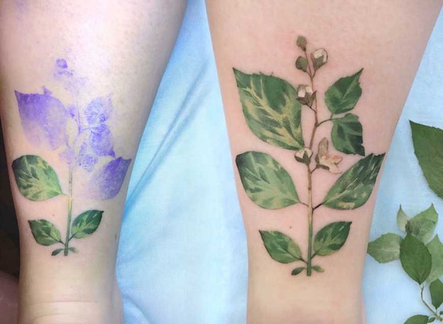 Татуировки растения: красота и символизм
