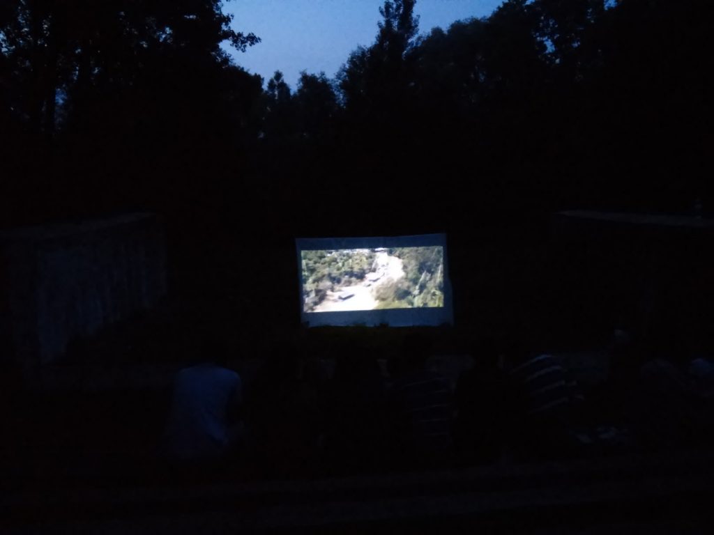 cinema de vară în buiucani nikolai kirnev (1)