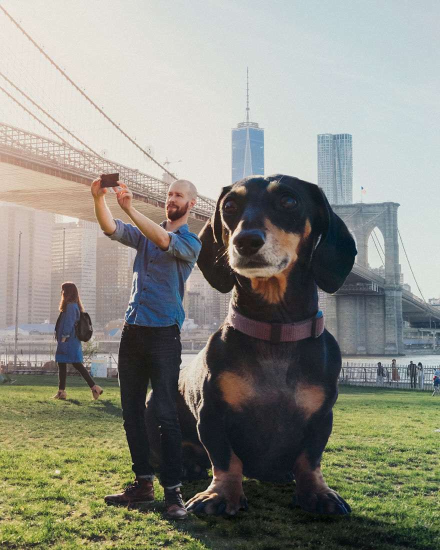 bigviv-05b-576538fae4cc7__880