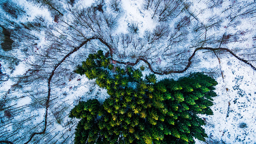 best-drone-photography-2016-dronestagram-contest-8-5783ac87ae38c__880