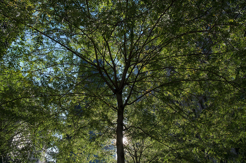 thumb_58568_material_big