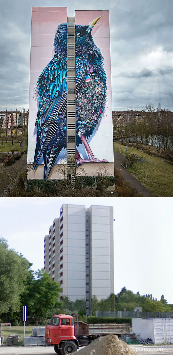 before-after-street-art-boring-wall-transformation-2-580df352b1353__700