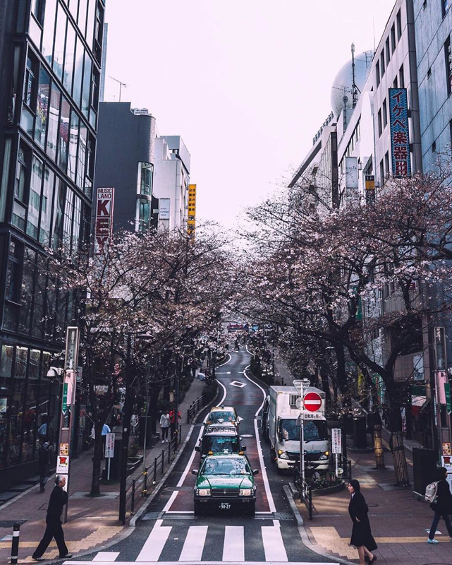 japan-street-photography-32-5808886fdff7a__880