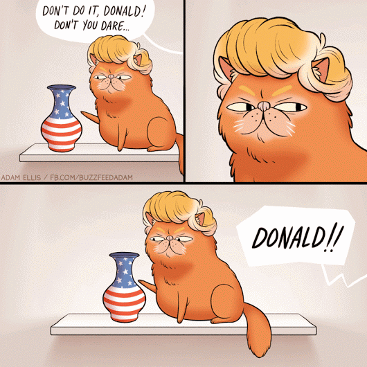 2-if-trump-was-a-cat-funny-cartoon