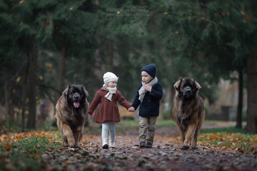 little kids big dogs