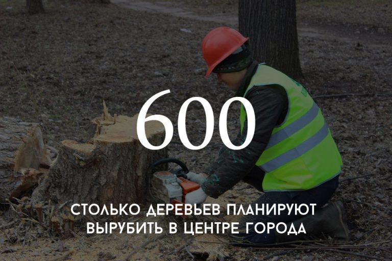 сколько деревьев вырубают в день