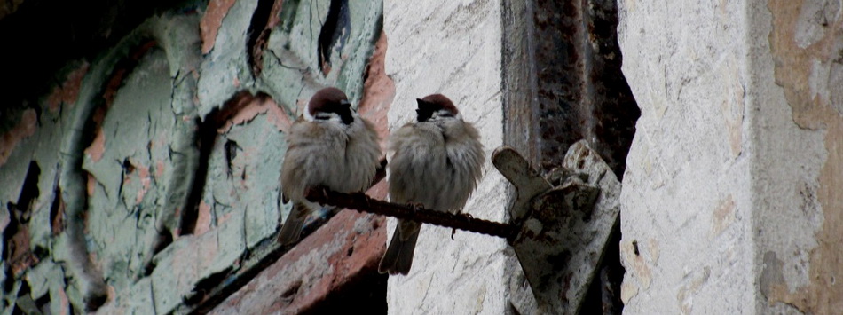 Postcrossing Offline Moldova 2 of 12