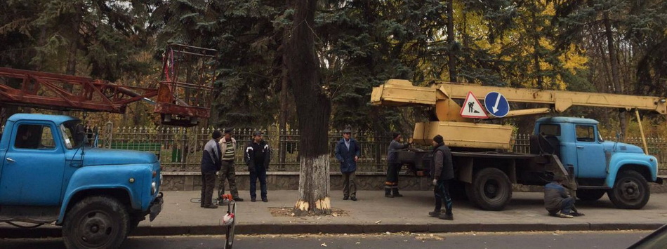 Инспектирование деревьев по бул. Шт. чел Маре, планируемых к замене