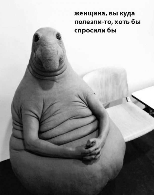Ждун: 20+ лучших образов - Locals