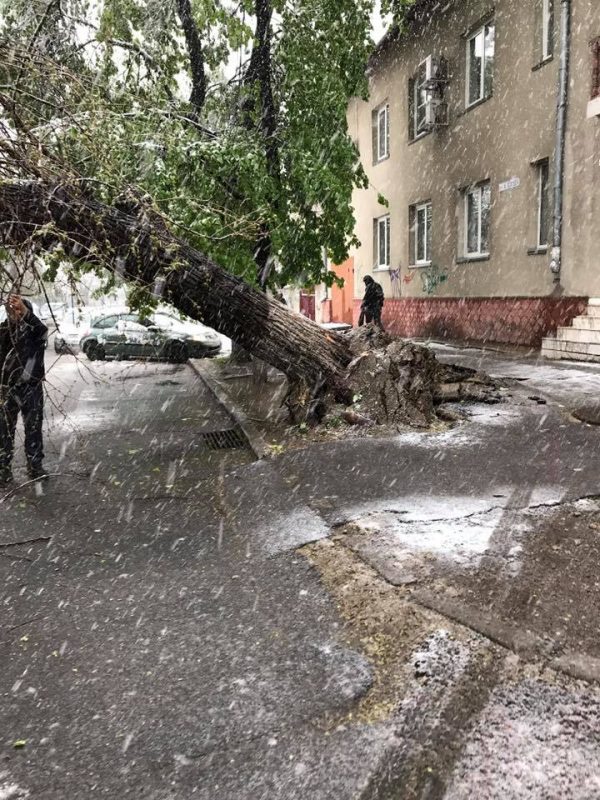 Елена кусурсуз кишинев фото