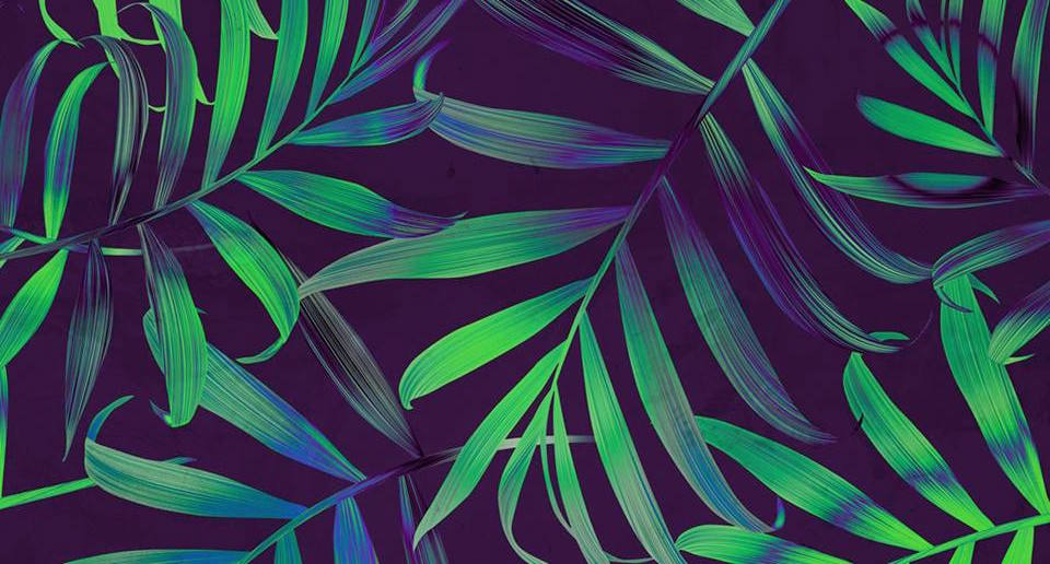 ЖЫР w/ MAGIC FLOWERS