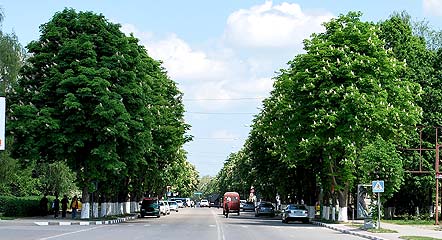 Festivalul Castanilor 2018