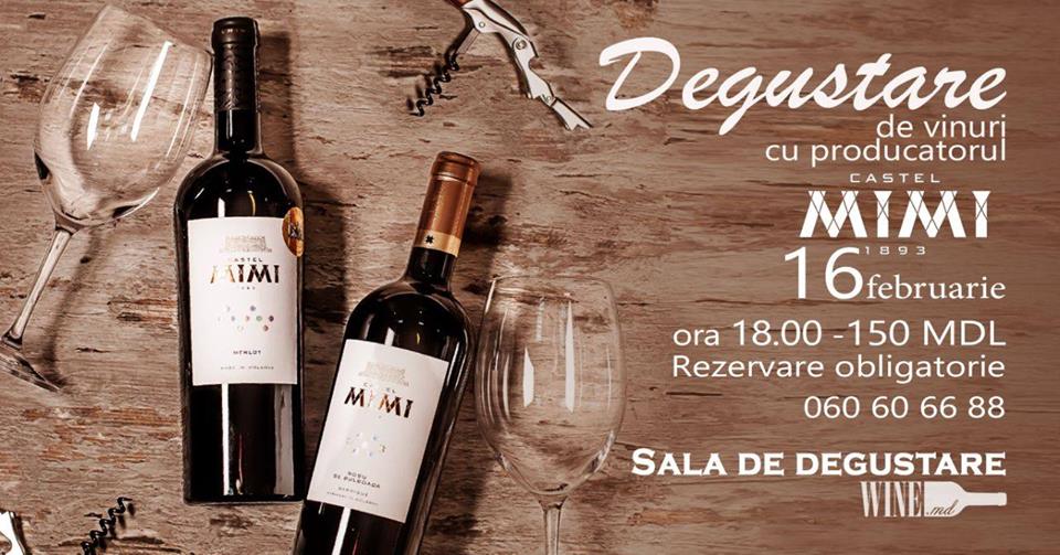 Degustare de vinuri cu producatorul Castel Mimi