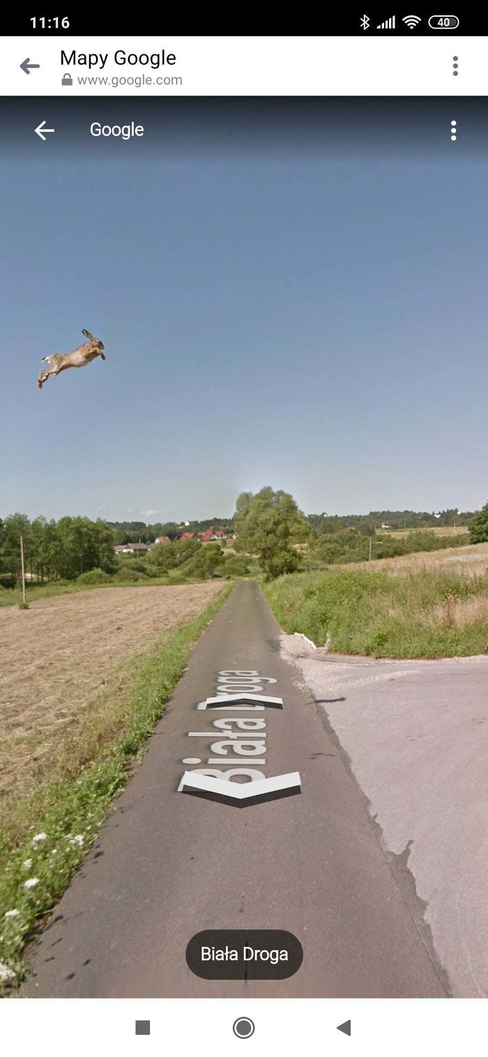Things Caught On Google Street View