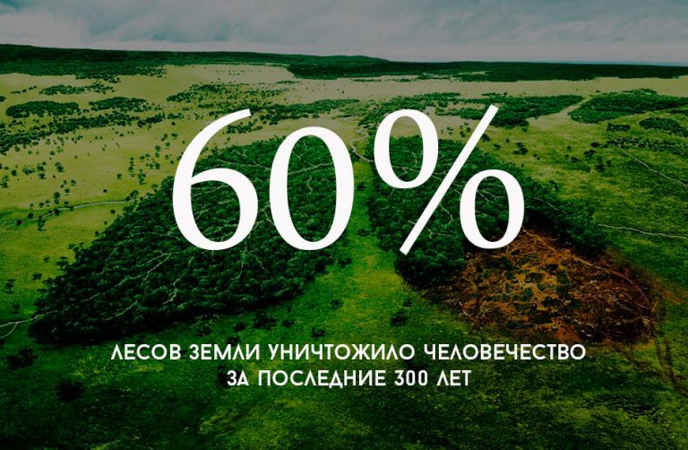 Составьте план текста за последние 250 лет человечеству удалось существенно увеличить производство