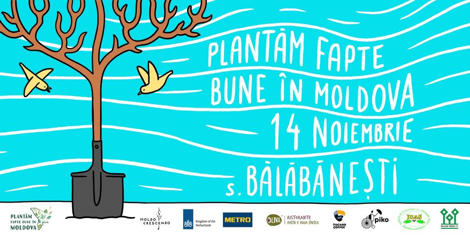 Plantăm fapte bune в Бэлэбэнешть