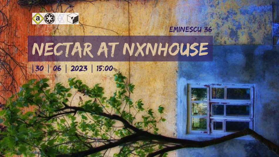 Знаменитый дом на Эминеску приглашает на день открытых дверей Nectar la NXNHouse