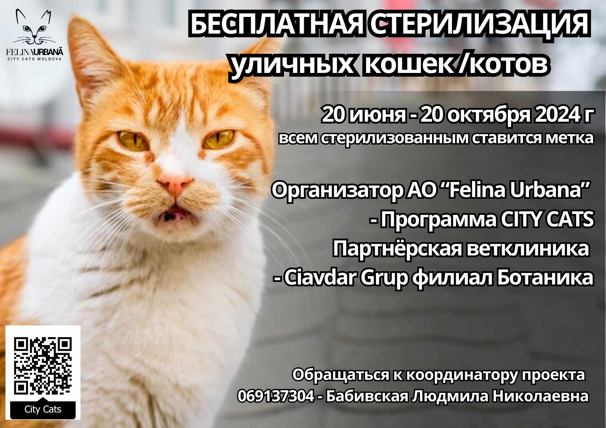 Ол кезек-кезек бәріне көңіл бөледі