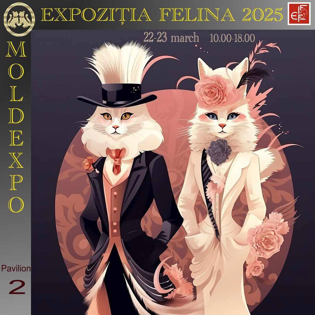 22 и 23 марта на Moldexpo пройдет международная выставка кошек